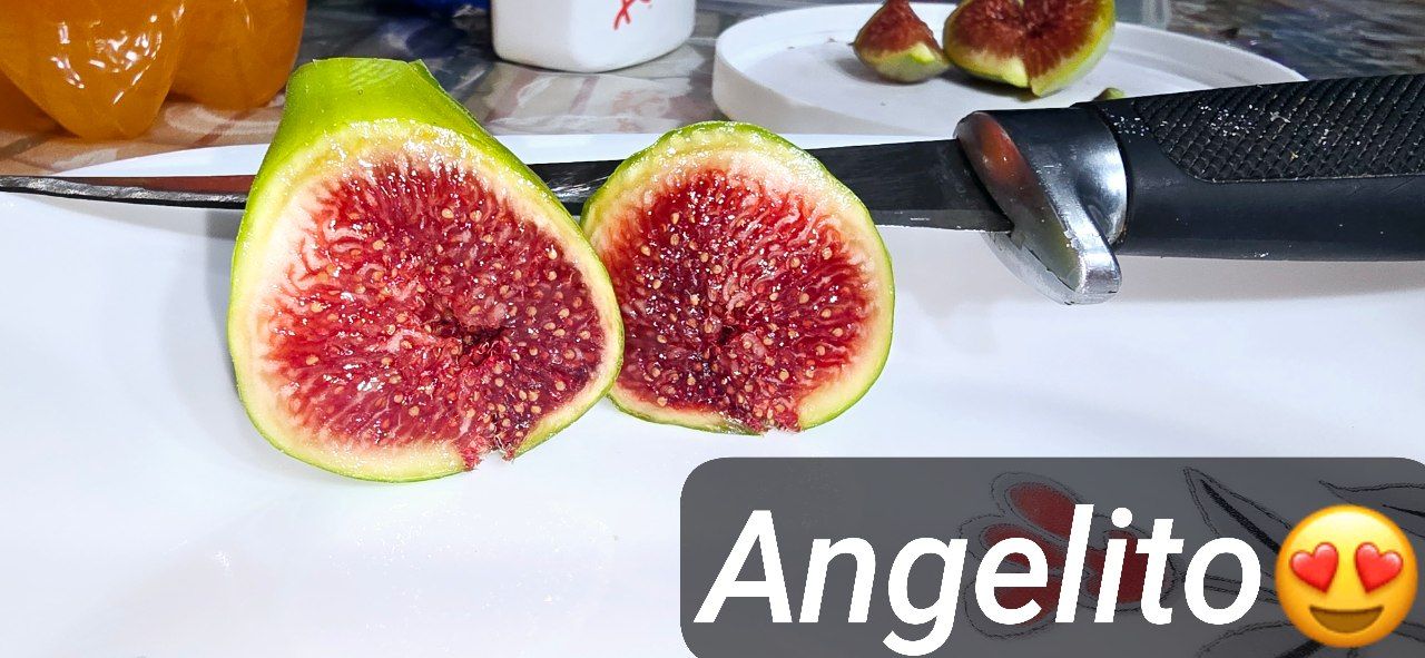 Angelito fig tree