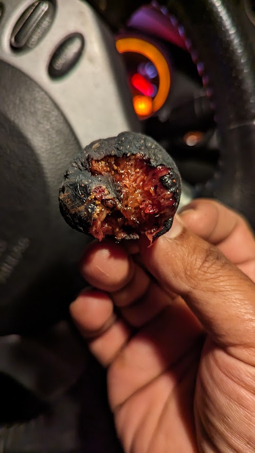 Violette de Bordeaux fig tree — photo 1