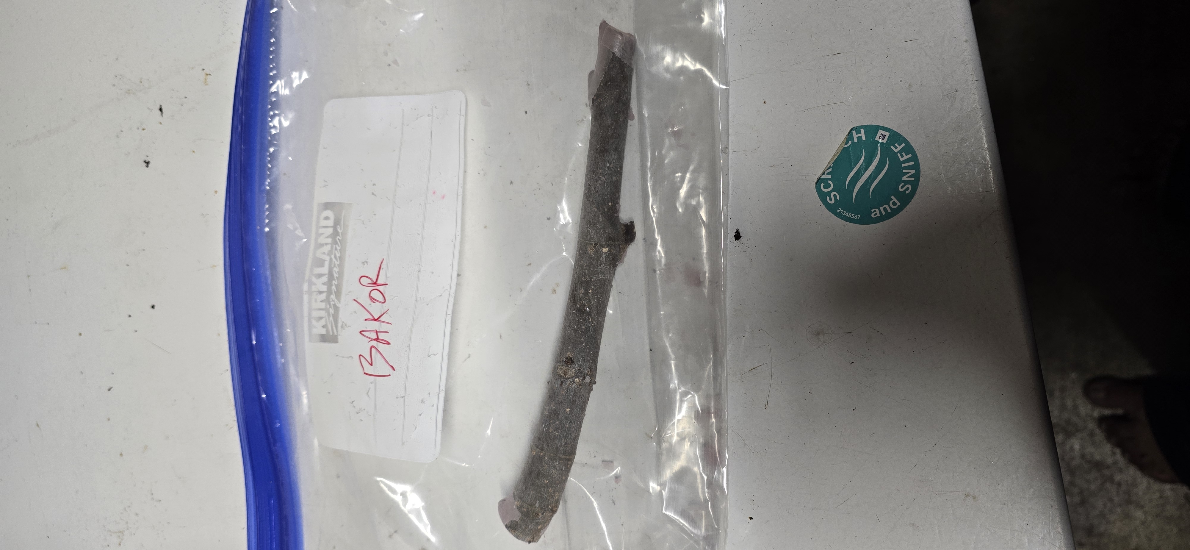 Bakor fig cutting